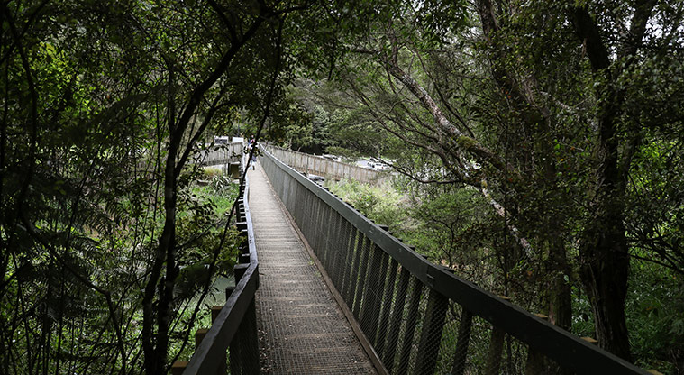Hūnua Cossey Dam Path - Footbridge at path start.