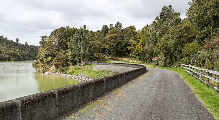 Hūnua Cossey Dam Path - Path alongside the dam.