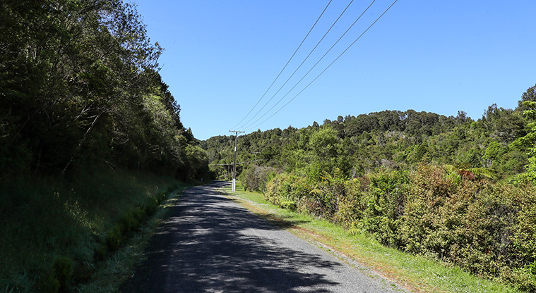 Hūnua Suspension Bridge Path - Follow gravel road back to start.