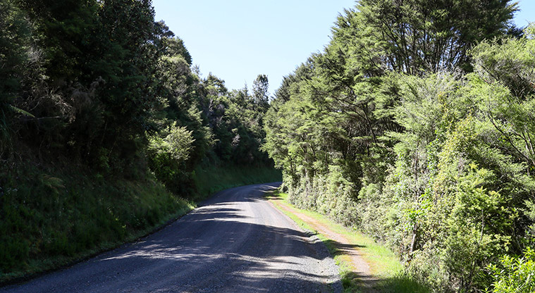 Hūnua Suspension Bridge Path - Keep following gravel road back to start.