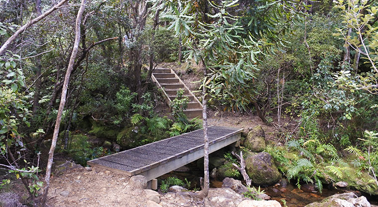 Iona Mine Path - The stream crossing near the mine entrance.