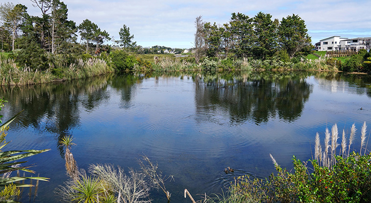 Karaka Path