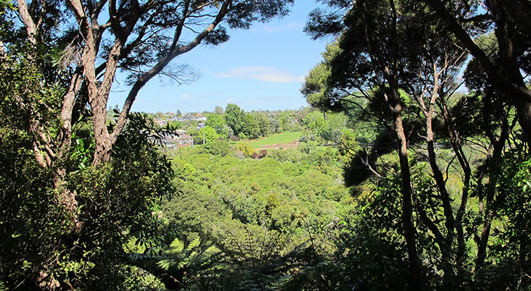 Kepa Bush Path
