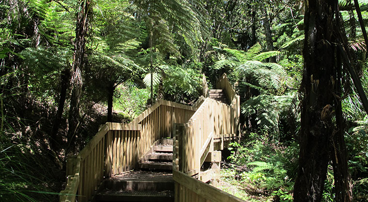Le Roys Bush Path