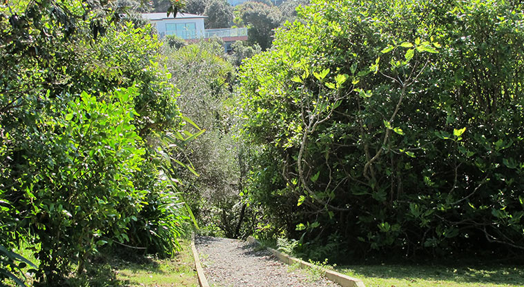 Leigh Coastal Path - Typical section of main path.