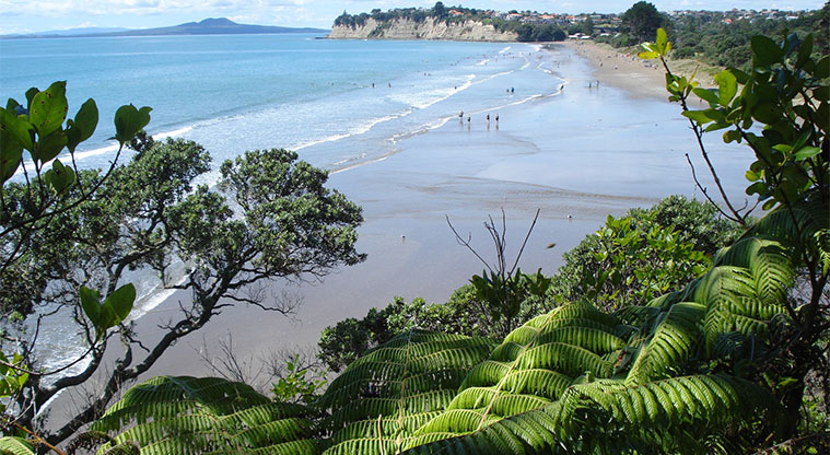 Long Bay Coastal Track