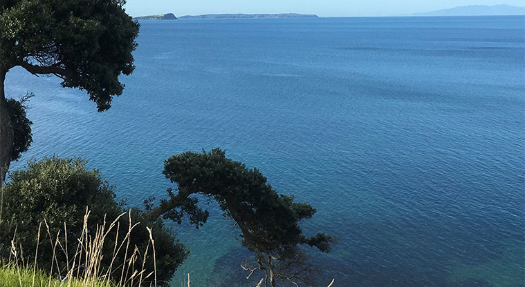 Long Bay Path - Stunning view looking across the water from the top of the path.