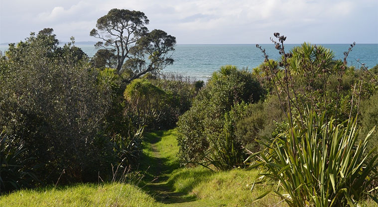 Long Bay Path - Grass section of the track.
