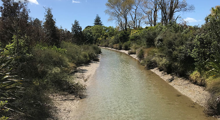 Long Bay Path - The stream that meanders beside the nature trail.