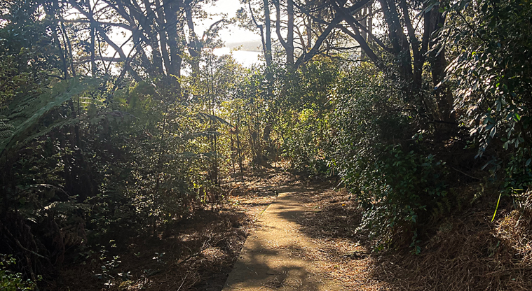Luckens Coastal Path - First section of path is steep and downhill.