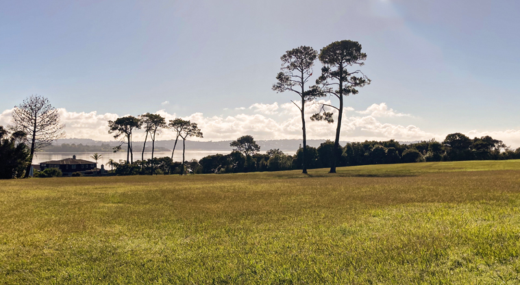 Luckens Reserve Path - Dog exercise area.