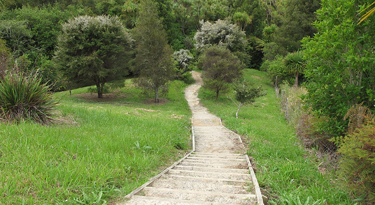 Mangemangeroa Kōwhai Path - Steps down to the valley floor.