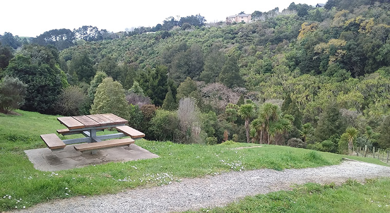 Mangemangeroa Kōwhai Path - Picnic table adjacent to the start of the path.
