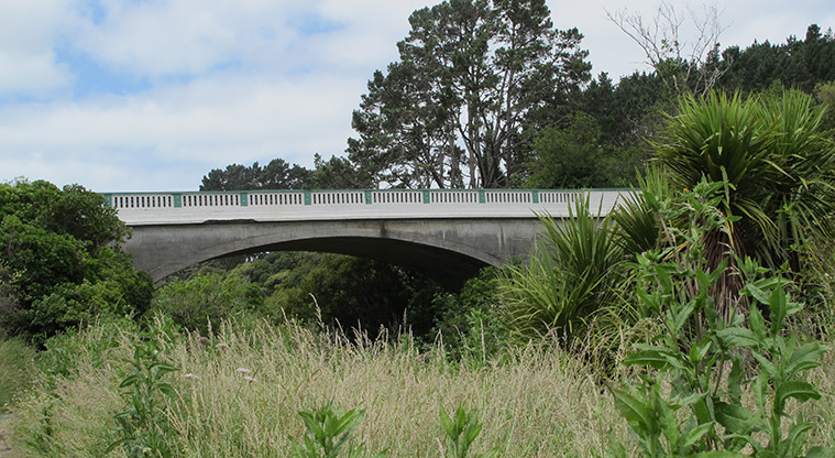 Mangemangeroa Kōwhai Path - Whitford Road bridge.