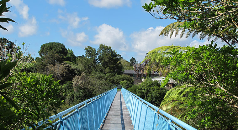Moire Park Path