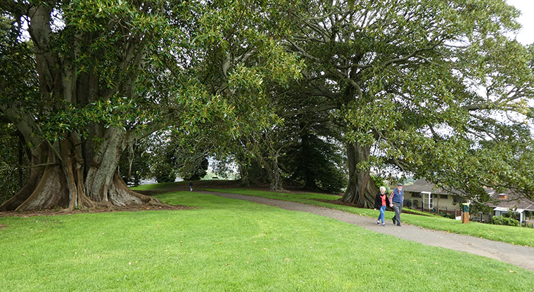 Monte Cecilia Path