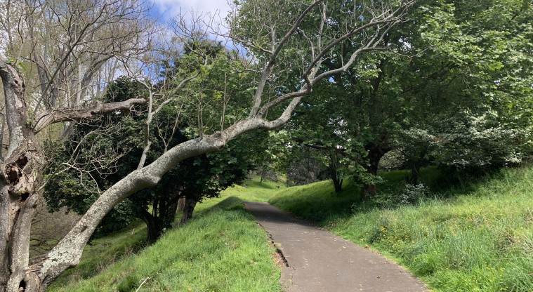 Ōtāhuhu / Mt Richmond Path - Sealed walkway.