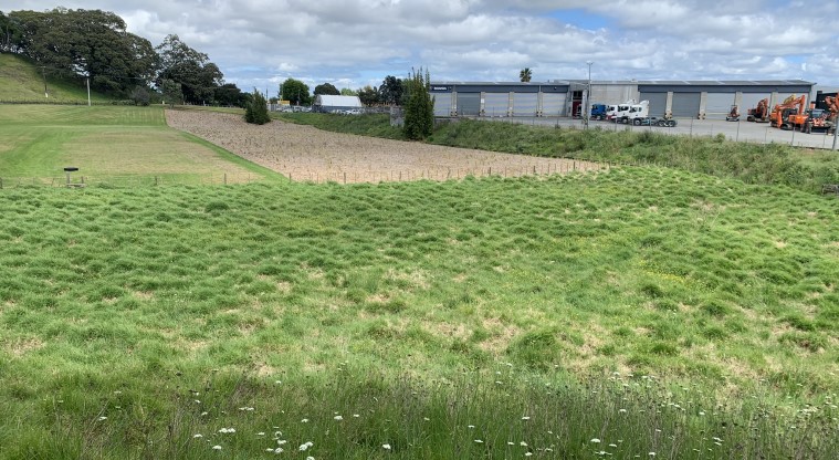 Ōtāhuhu / Mt Richmond Path - Former swampy floor of the Ōtāhuhu explosion crater.