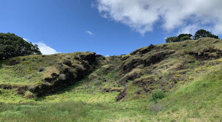 Ōtāhuhu / Mt Richmond Path - Former scoria quarry on the northern side of Ōtāhuhu.