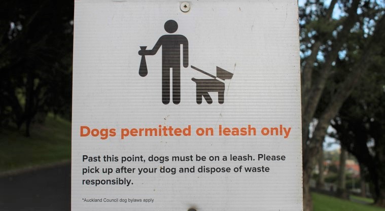 Pukewīwī / Puketāpapa / Mt Roskill Path - Sign saying dogs must be on leash along the path.