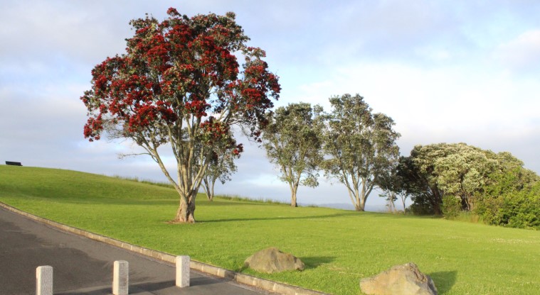 Pukewīwī / Puketāpapa / Mt Roskill Path - Road blocks signalling there is no vehicle access beyond this point.