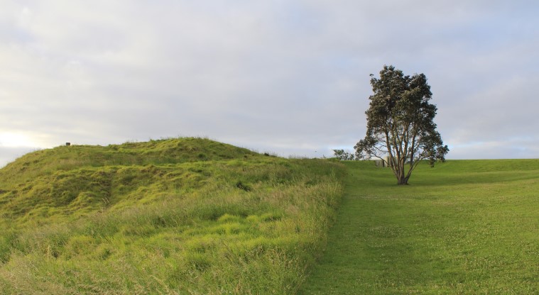Pukewīwī / Puketāpapa / Mt Roskill Path - Grassy section of the path you can choose to walk along, otherwise stick to the sealed path.