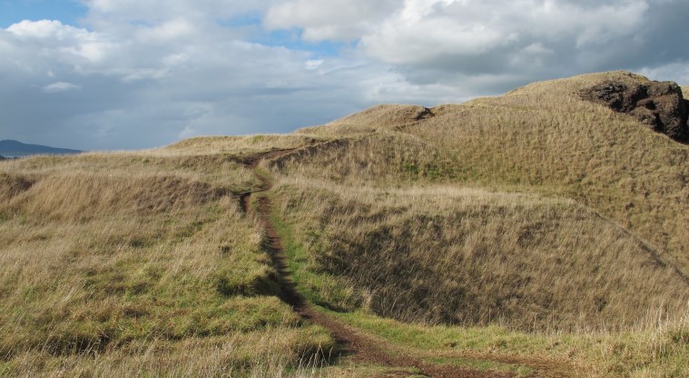 Maungarei / Mt Wellington Path – Path around the crater which loops back to the road.