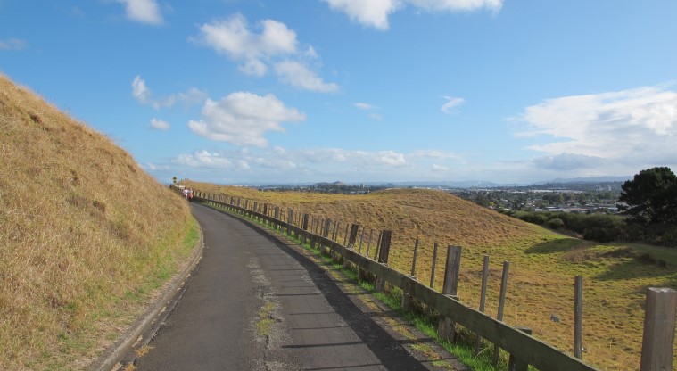 Maungarei / Mt Wellington Path – Section of the path leading to Gollan Road.