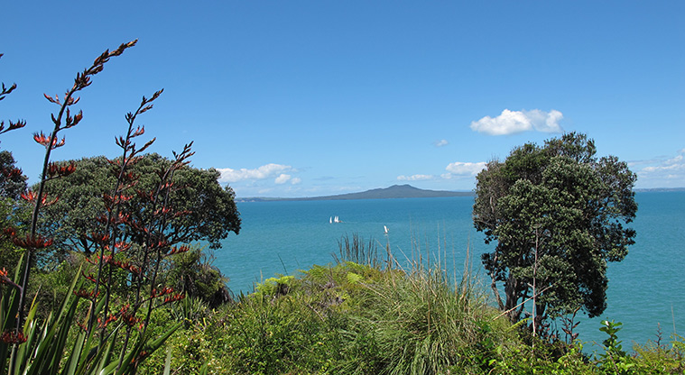 Murrays to Rothesay Bay Path