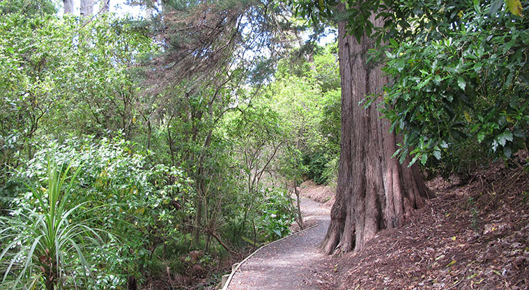 Murvale Path