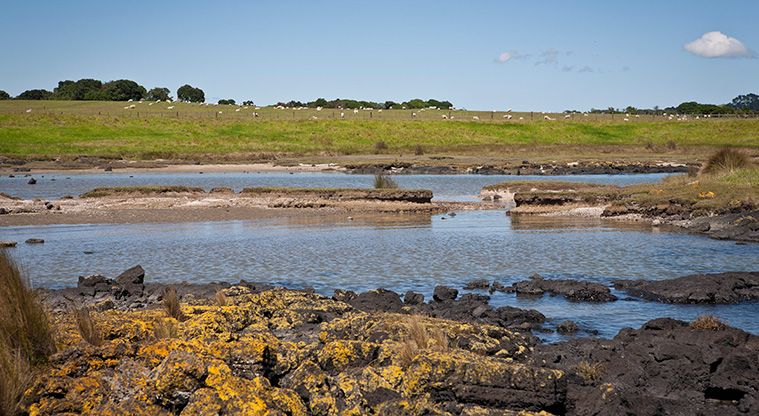 Māngere Foreshore Path - Remnants of the lava flows along the waters edge.