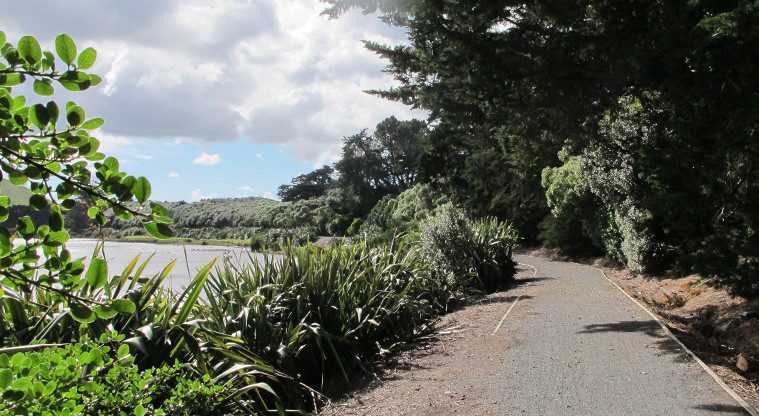 Māngere Lagoon Path - Going left from the carpark, this is a typical section of the path.