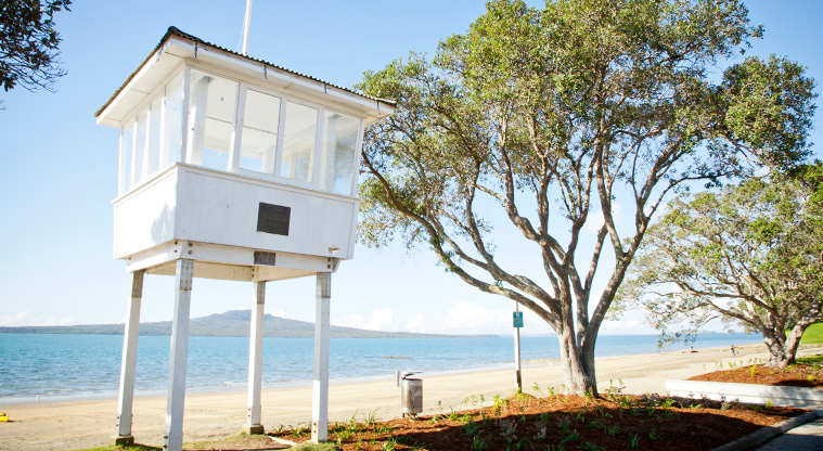 Narrow Neck to Devonport Path
