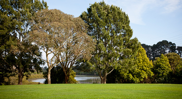 Ngāti Ōtara Path - A view across Otara Creek.