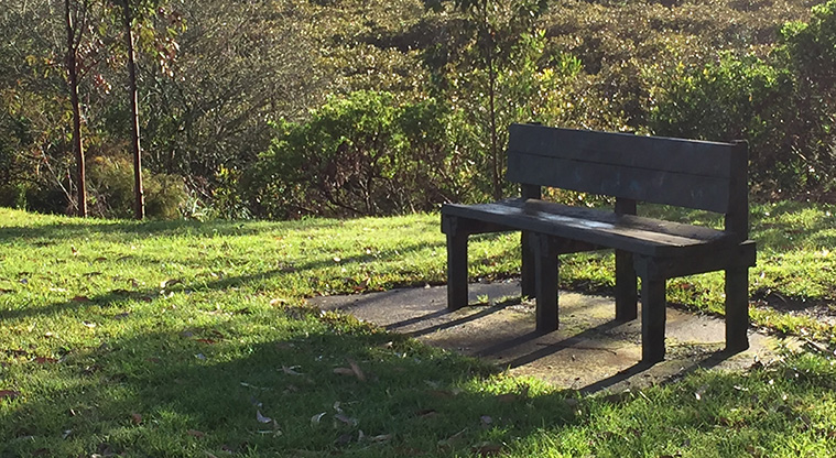Ngāti Ōtara Path - Seating along the path at Ngāti Ōtara Park.