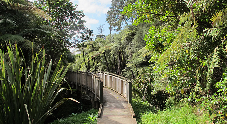 Oakley Creek Path – A bridge crossing Oakley Creek.