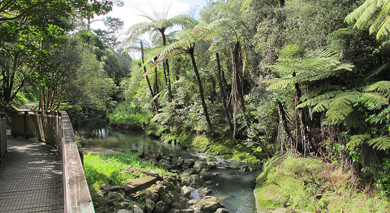 Oakley Creek Path – A view from the path over the top of the waterfall.