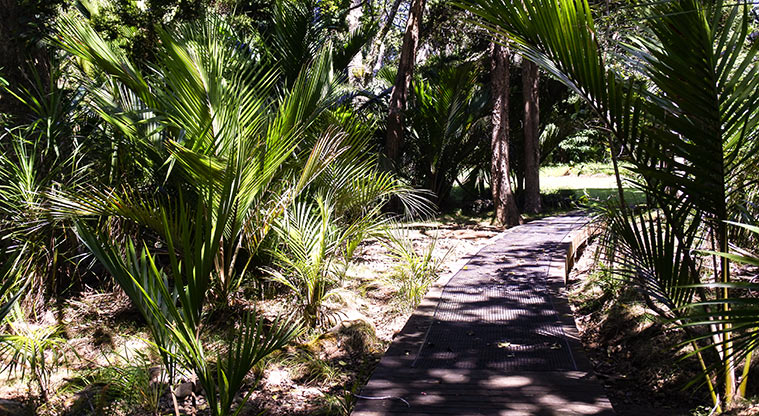 Okiwi Park Path - The boardwalks are here because the stream can flood quickly: be careful on very rainy days!