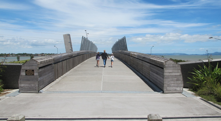 Onehunga Bay to Waikowhai Path