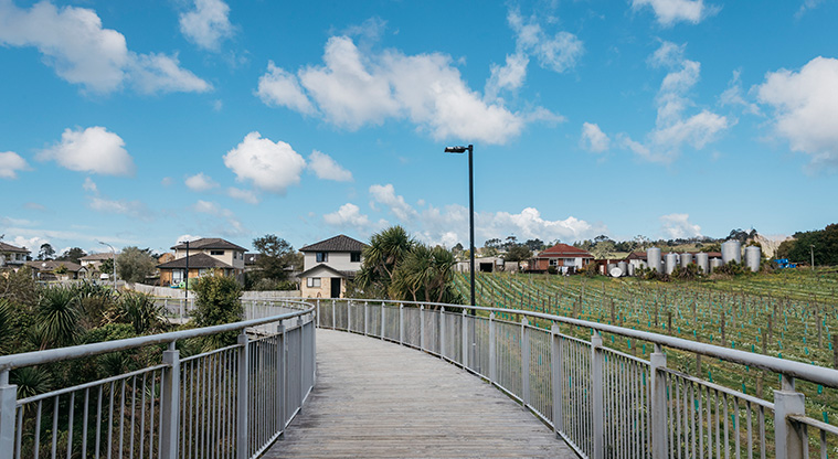 Opanuku Stream Path