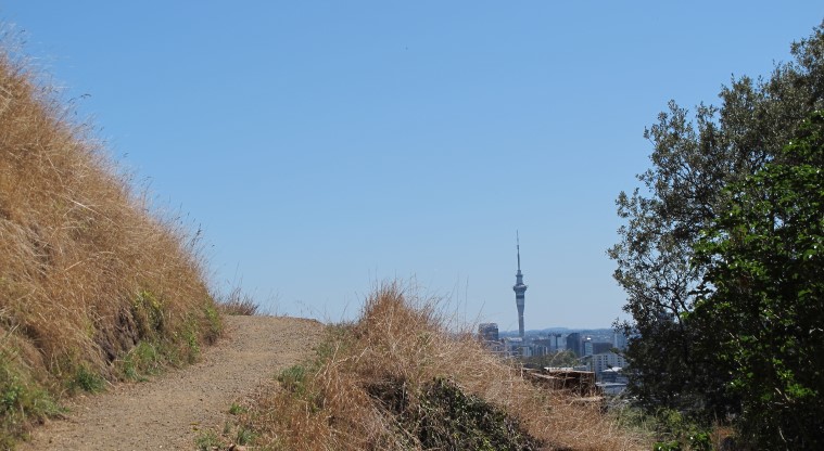 Ōhinerau / Mt Hobson Path - View on the way up to the tihi (summit) showing the Sky Tower.