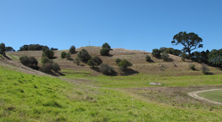 Ōhinerau / Mt Hobson Path - View back to the tihi.