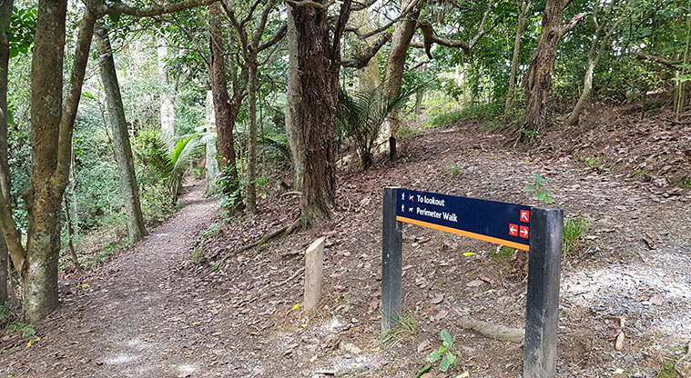 Ōmana Lookout Path - Follow the “To Lookout” sign.