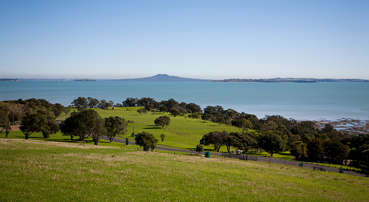 Ōmana Lookout Track