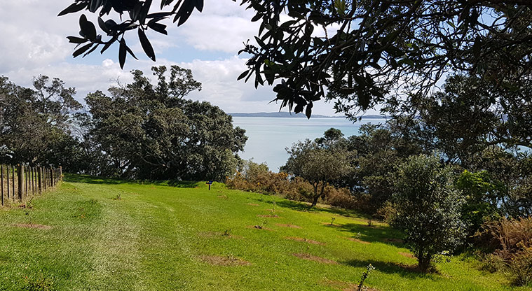 Ōmana Perimeter Path - Path goes over grass.