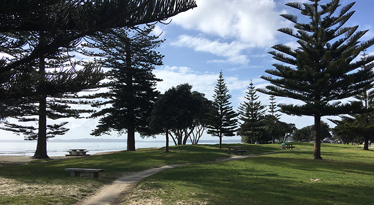 Ōrewa Beachfront Path - Beachfront path.