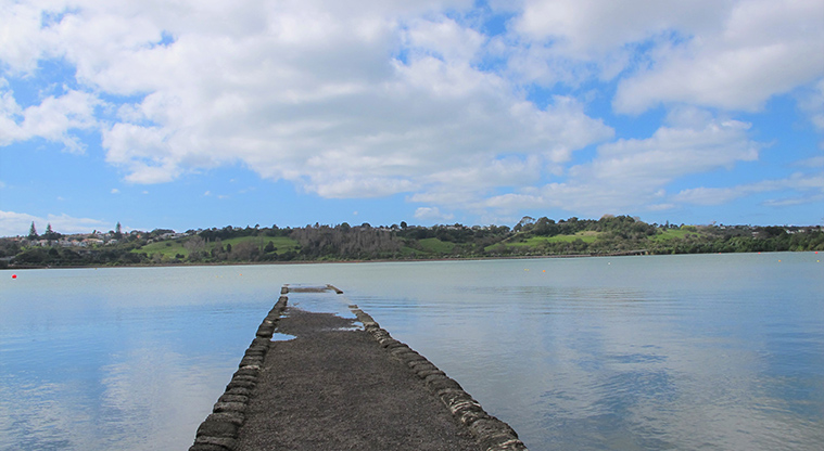 Ōrākei Basin Path - View over basin from southern side.