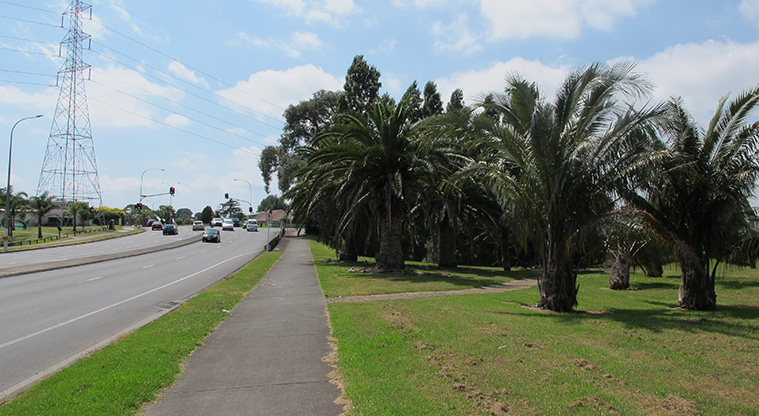 Ōtara Path - Shared path on East Tamaki Road.