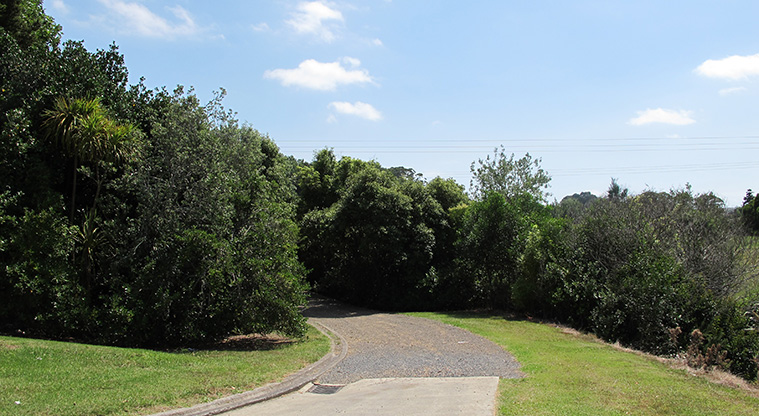 Ōtara Path - The path continues at a nice width.