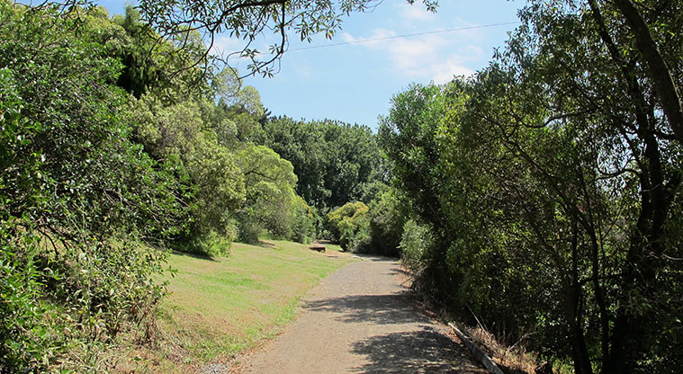 Ōtara Path - Typical section of the path.